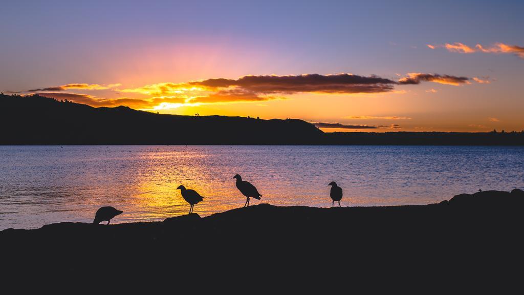 B&B Abundance Rotorua Bagian luar foto